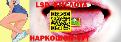 шишки Краснознаменск