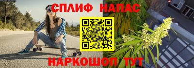 шишки Краснознаменск